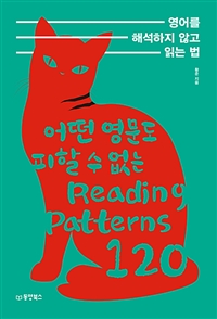 영어를 해석하지 않고 읽는 법 - 어떤 영문도 피할 수 없는 Reading Patterns 120 (커버이미지)